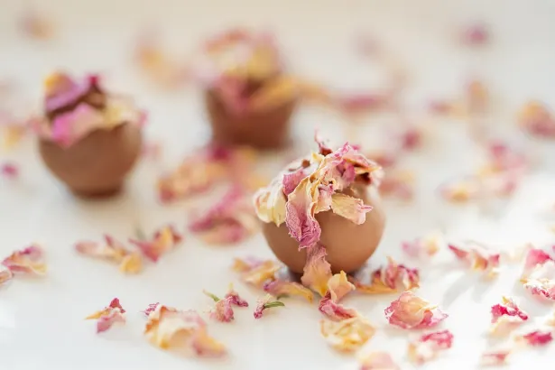 피버 슬롯 카지노 안드로이드/iOS 앱